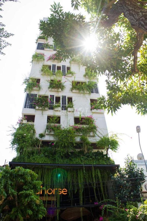 Seahorse Tropical Apartment Дананг Екстер'єр фото